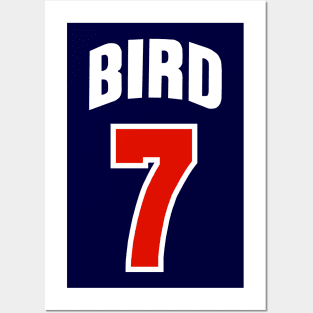 USA DREAM TEAM 92 - Bird Posters and Art